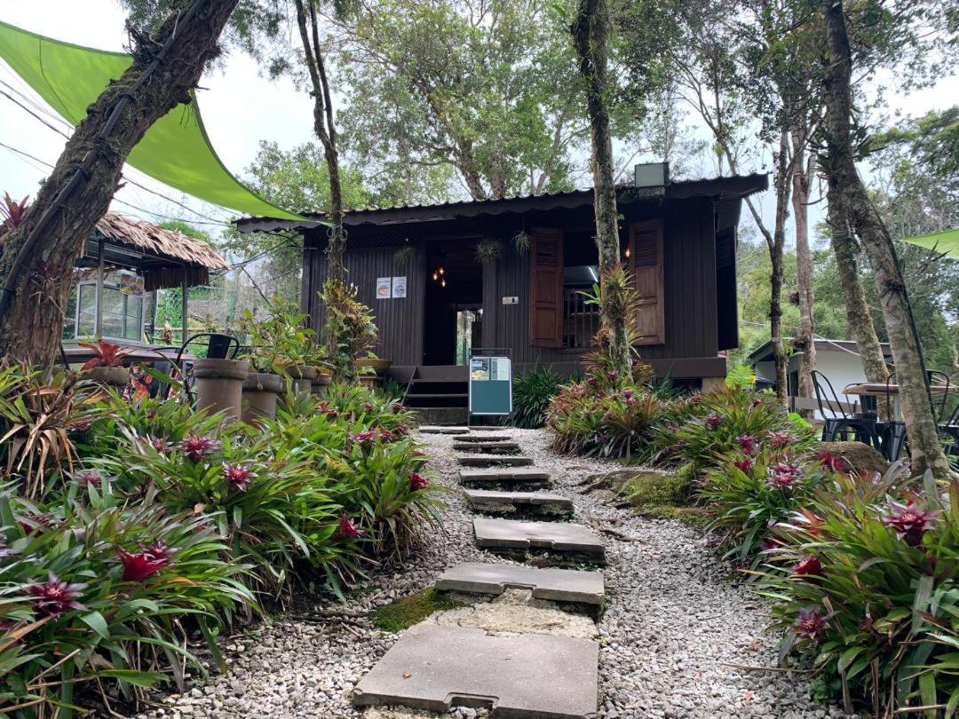 The Jerai Hill 4*