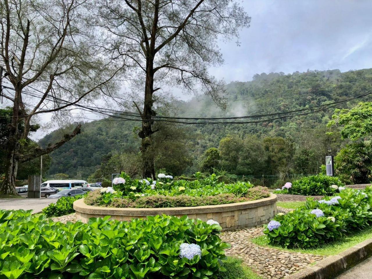 The Jerai Hill 4*