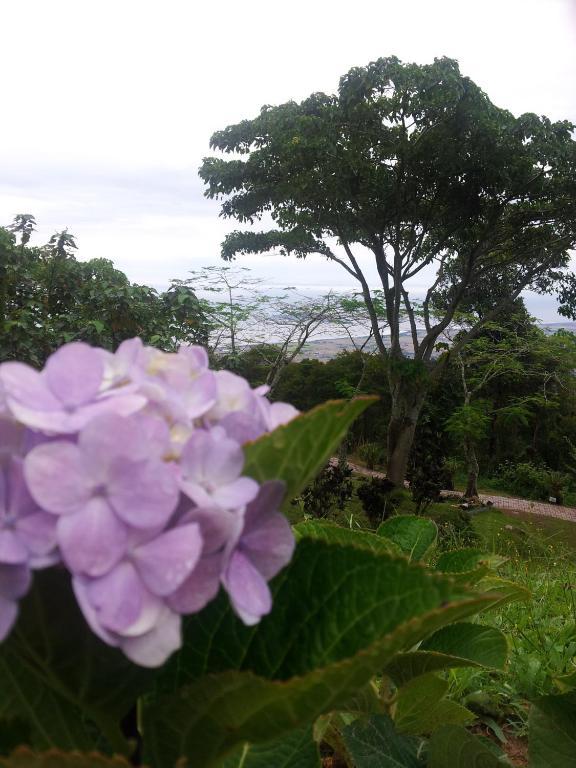 The Jerai Hill Resort